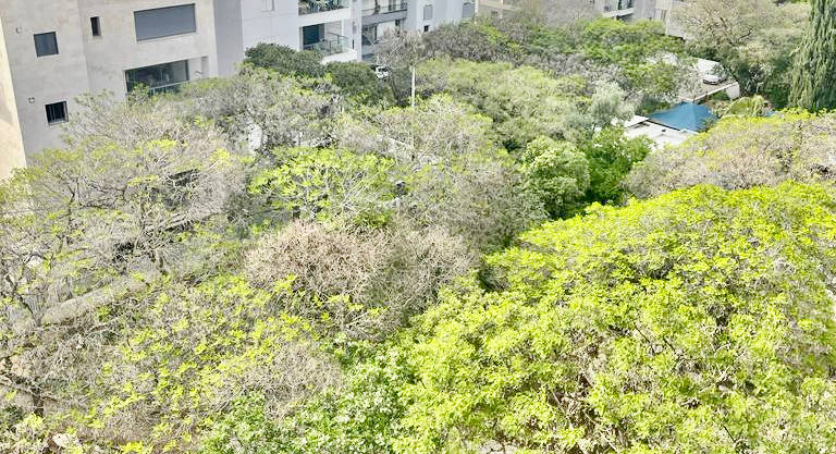 5-room roof duplex overlooking a green park